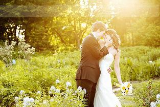 今日头条逆光摄影作品,捕捉光影交织的摄影艺术瞬间