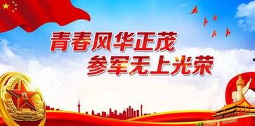 厚街镇新闻头条2019,聚焦发展成就与民生亮点