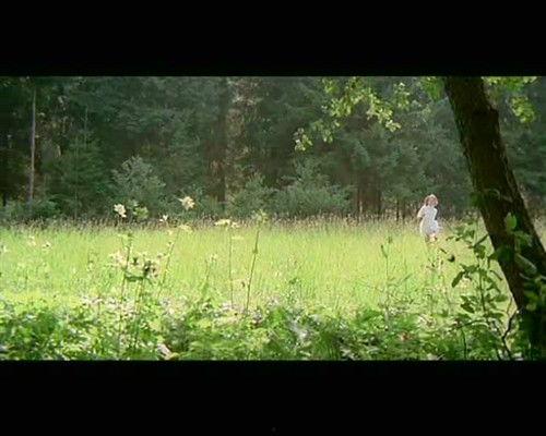 春的森林 在线观看,漫步森林，感受大自然的生机与活力