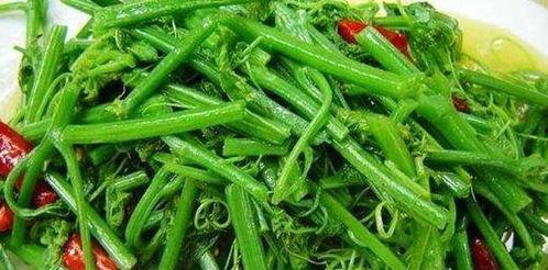 瓜尖吃有什么好处,吃瓜尖的五大益处