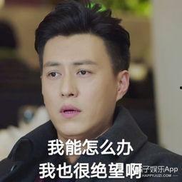 明星说我这么努力,汗水铸就辉煌，努力成就梦想