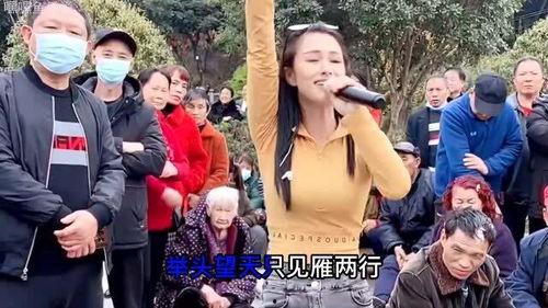 一首网红歌曲走天涯,探寻网红歌曲背后的故事与情感共鸣