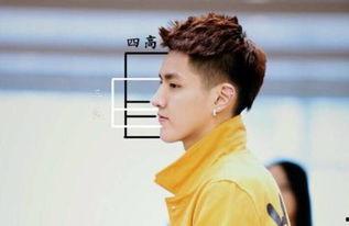 三庭五眼男明星,三庭五眼美学标准下的男明星风采解析