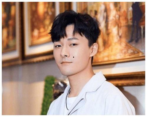 明星张雨剑的图片,光影交织，演绎青春风采