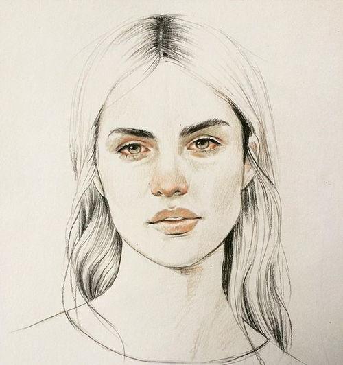 明星黑白线稿,探寻明星线稿艺术之美