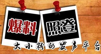 重庆都市新闻爆料网,聚焦城市热点，解码民生故事