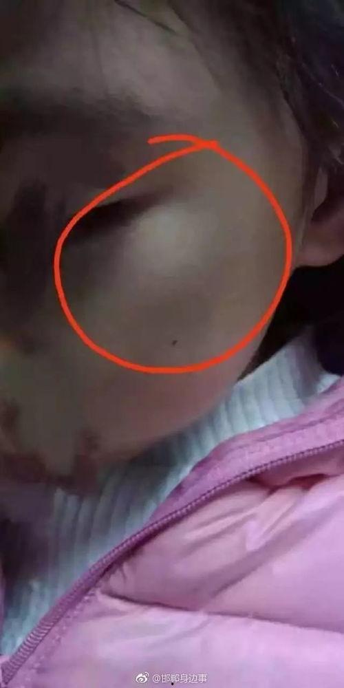 邯郸肥乡网友爆料新闻,惊现神秘事件，真相令人震惊！