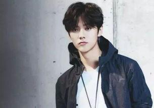 鹿晗喜欢的明星,揭秘他心中的偶像传奇