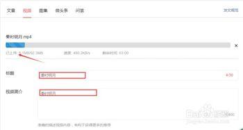 头条视频哪里上传的好,头条视频上传的最佳时机与技巧，让你的作品脱颖而出！