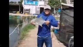 爆料钓鱼被打视频在线观看,爆料钓鱼被打视频引发网友热议