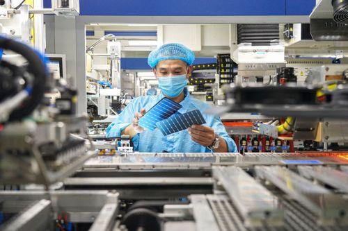 海安新闻头条网首页,聚焦本地热点，解码民生动态