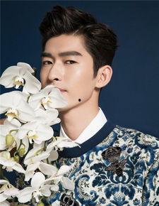 在哪明星图,探寻“在哪”明星图背后的璀璨星光