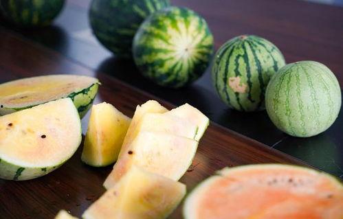 吃瓜彩虹,探寻吃瓜彩虹的独特魅力